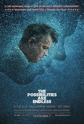 無限可能(2014)海報