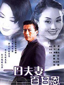 一日夫妻百日恩1998(1998)海报