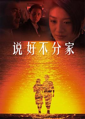 說好不分家(2008)海報