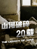 山河破碎20載(2023)海報
