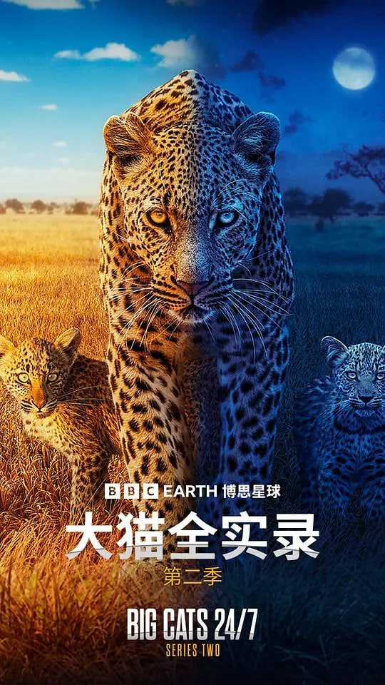 大猫全实录 第二季(2024)海报
