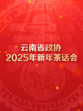 雲南省政協2025年新年茶話會文藝演出(2025)海報
