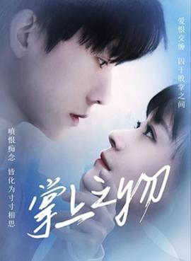 掌上之物(2022)海报