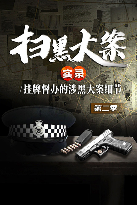 掃黑大案實錄:掛牌督辦的涉黑大案細節第二季(2024)海報