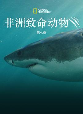 非洲致命動物第七季(2011)海報