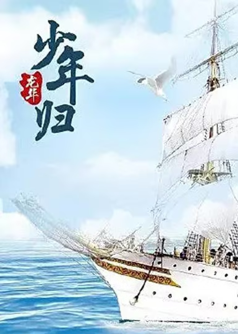 龙华之少年归(2017)海报