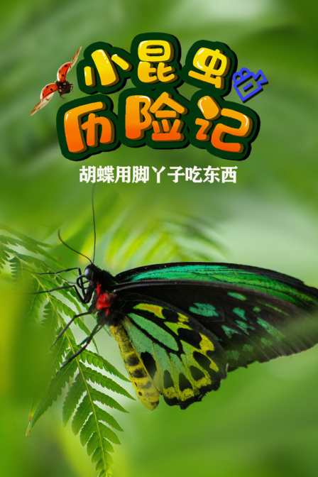 小昆蟲歷險記,蝴蝶用腳丫子吃東西(2024)海報