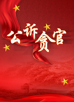 公訴貪官(2003)海報