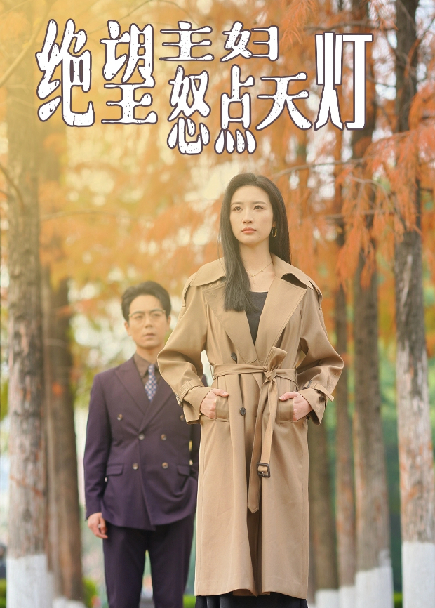 绝望主妇怒点天灯海报