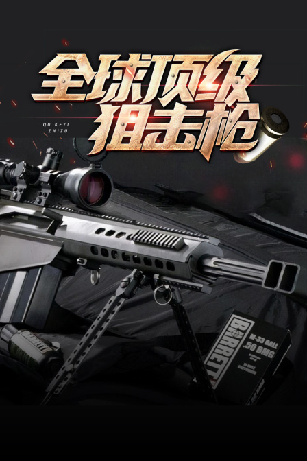 全球顶级狙击枪(2024)海报