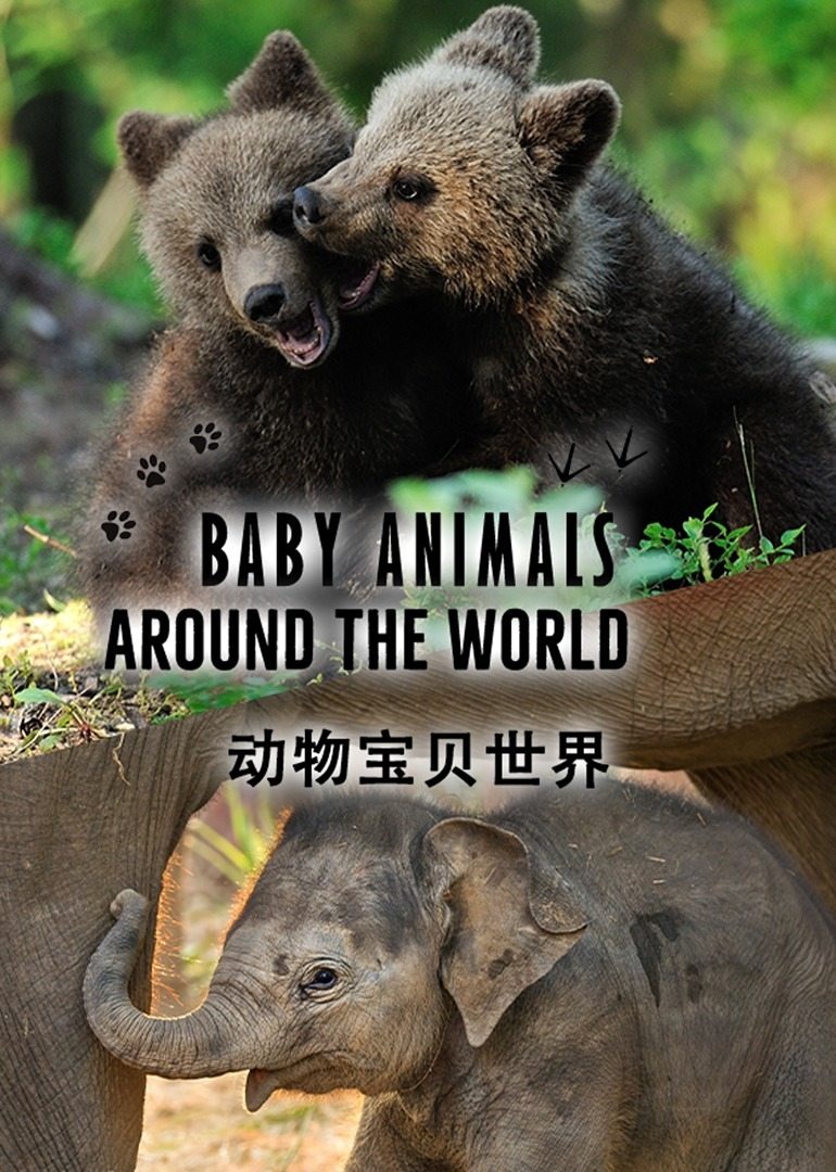 動物世界述海報