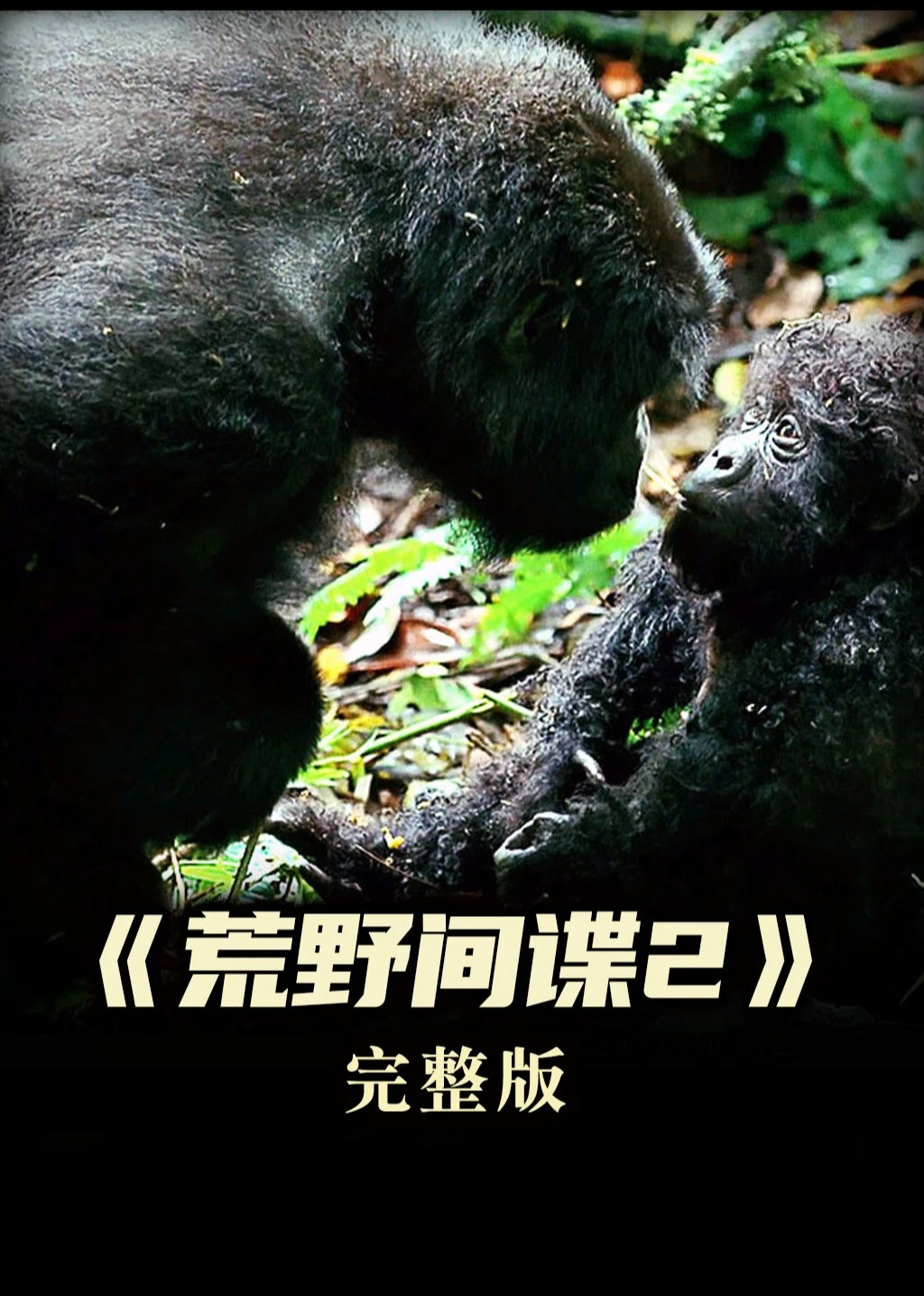 史上最真實的拍攝,機器間諜的造型,驚呆了觀眾《荒野間諜》海報