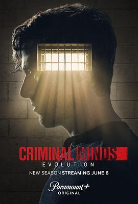 犯罪心理:演变第十七季(2024)海报