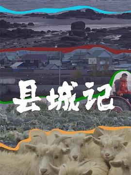 县城记(2022)海报