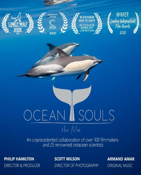 海洋之魂(2020)海報