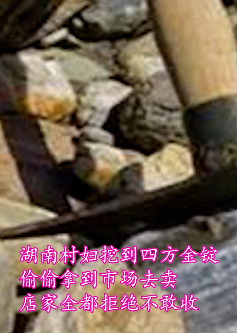 历史揭秘-村妇挖到四方金锭海报