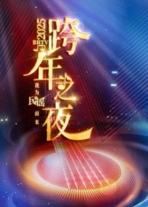 2025北京卫视跨年(2025)海报
