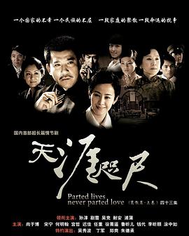 天涯咫尺2008(2008)海報