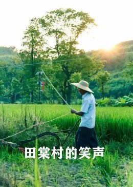 田棠村的笑声(2018)海报