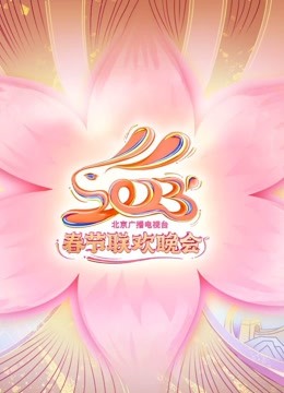 2023北京卫视春晚(2023)海报