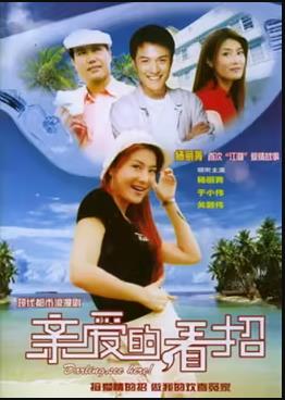 亲爱的,看招(2005)海报