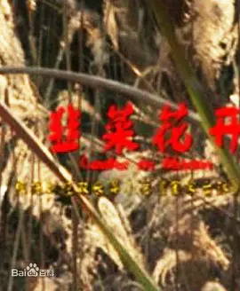 韭菜花开(2011)海报