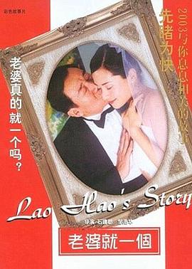 老婆就一個(2004)海報