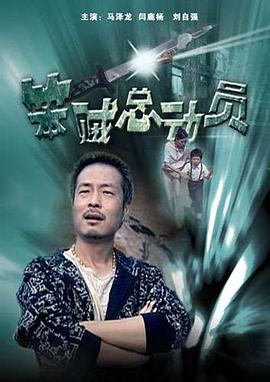 笨贼总动员(2010)海报