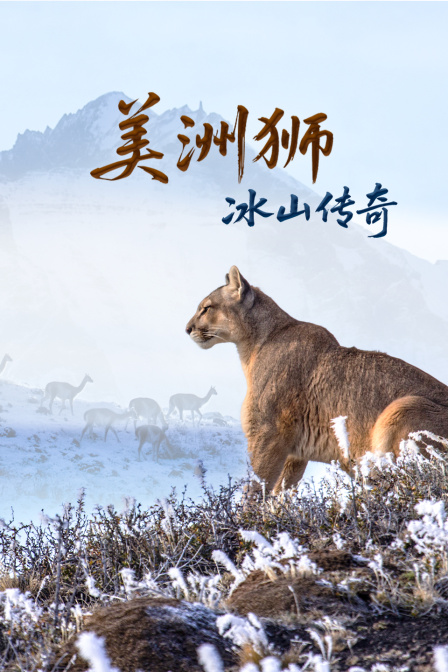 美洲獅:冰山傳奇(2026)海報
