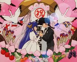 亂馬1/2:OVA 珊璞暴變—反轉寶珠之禍(1993)海報