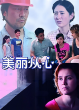美丽从心(2012)海报