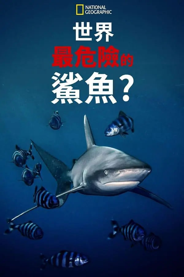 世上最危險的鯊魚(2021)海報