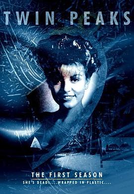 双峰第一季(1990)海报