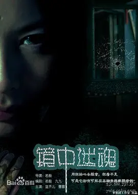 鏡中迷魂(2011)海報