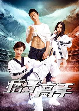 痞子高手(2017)海報