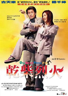 干柴烈火粤语(2002)海报