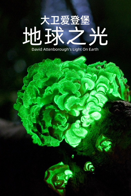 大卫爱登堡:地球之光(2023)海报