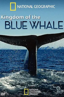 藍鯨王國(2009)海報