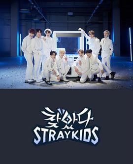 找到了StrayKids(2019)海報