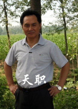 天职2012(2012)海报