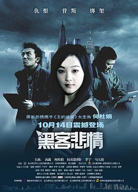 黑客悲情(2011)海报