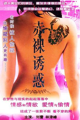 南北有情天(2011)海報