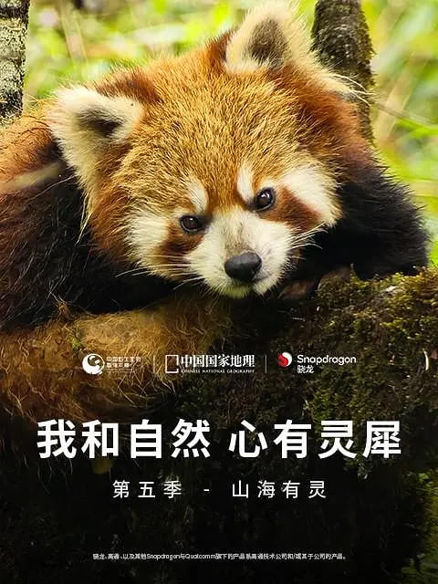 我和自然心有靈犀第五季山海有靈(2024)海報