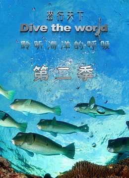 潛行天下第二季(2020)海報