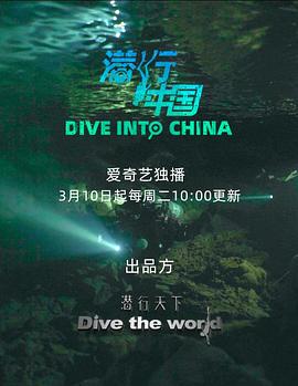 潛行中國(2020)海報