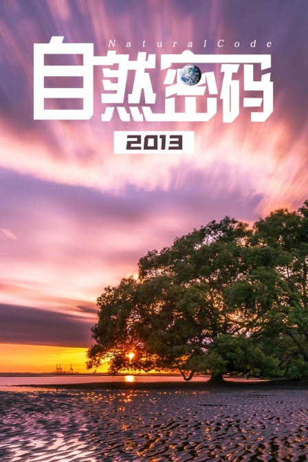 自然密碼2013(2013)海報