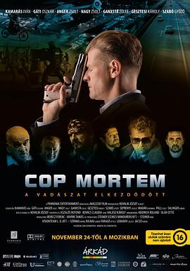 怒火警探(2016)海報