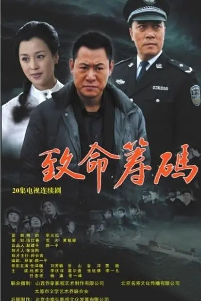 致命筹码(2013)海报