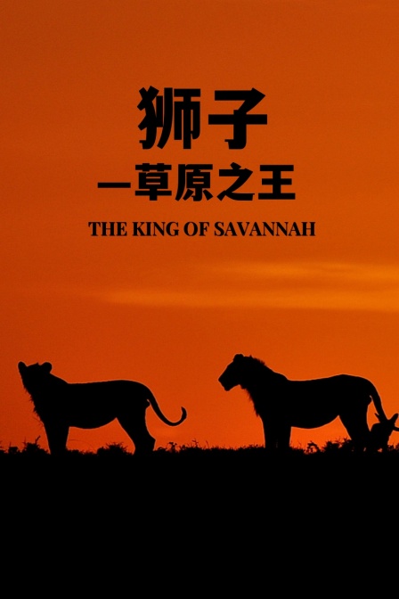 獅子 草原之王(2026)海報