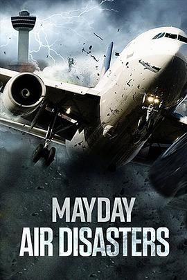 空中浩劫 第二十四季(2003)海报